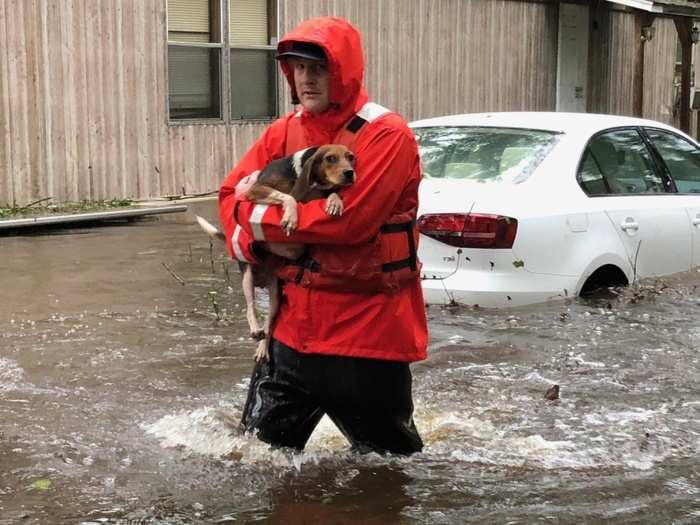 A member of Coast Guard Shallow-Water Response Boat Team 3 rescues pets stranded by floodwaters caused by Hurricane Florence in North Carolina.