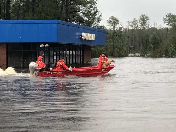 Shallow-Water Response Team 3 crew members rescued four pit bulls and eleven beagles from rising water caused by Hurricane Florence in Delco, North Carolina.