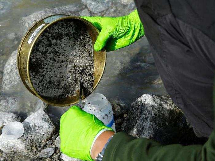 Here, Hannes Peter from the Swiss Federal Institute of Technology Lausanne gathers microorganisms from a stream near Rhone Glacier. He wants to study their DNA and figure out how the organisms have adapted to an extreme environment.