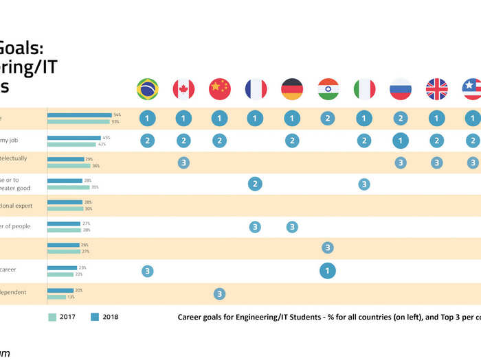 Engineering and IT student career goals