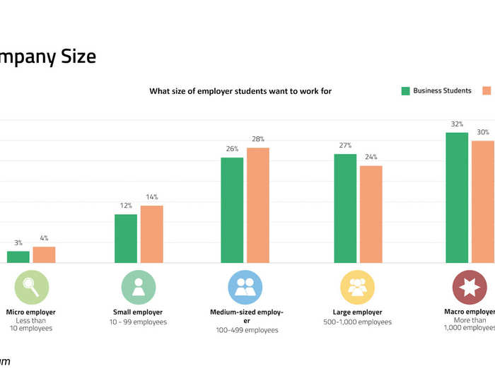 Ideal company size for students