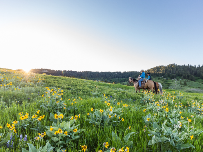 The ranch is capable of supporting 500 cow-calf pairs, according to the listing.