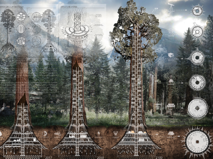 A group of architects wants to build skyscrapers inside hollowed-out Giant Sequoia trees.