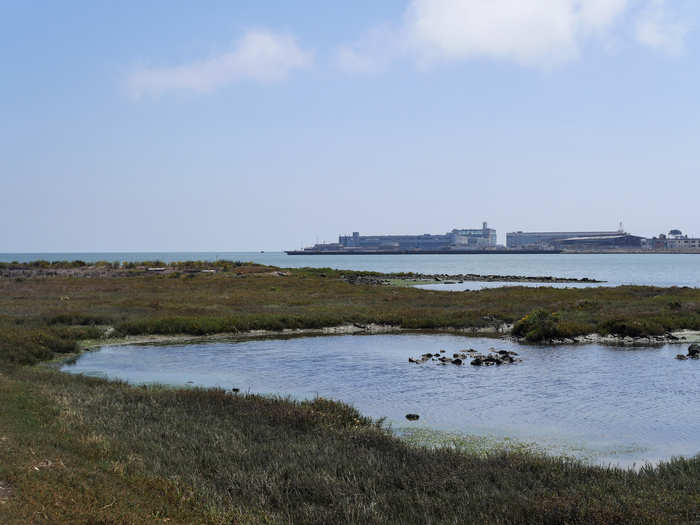 There are unobstructed views of the bay, creeks, and of course herons.