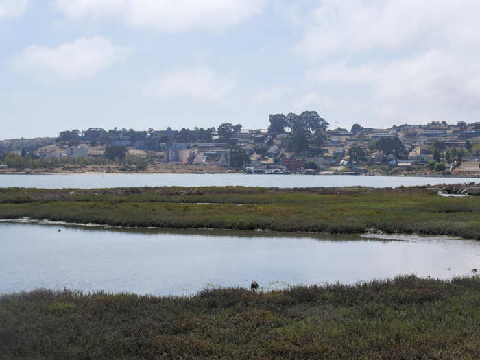 Due to an animal slaughter ban issued by the city, butchers in the late 1800s were pushed to the outer limits of San Francisco to keep the smells, sounds, and other aspects of the gory business away from city dwellers.