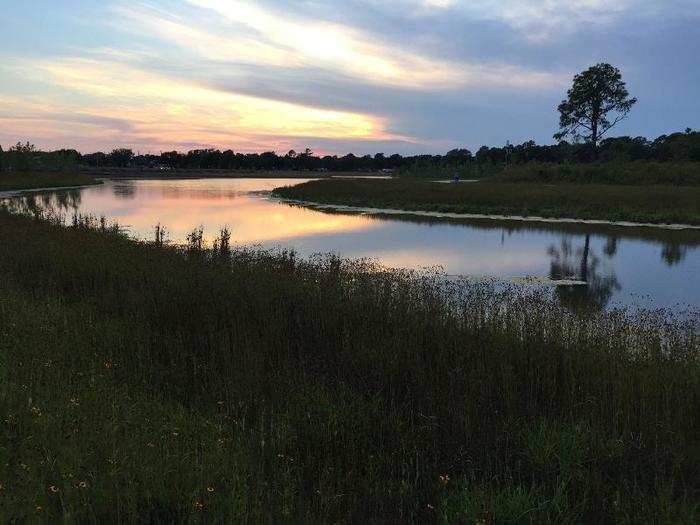 Kelly Shipley, a project manager, previously told Business Insider that about 200 nearby homes were saved from flooding due to the pond.