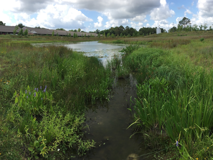 Four of the ponds were not yet built when Harvey devastated the city, and the fifth one was only 80% complete. Still, that pond kept about 100 million gallons of water from reaching Houston