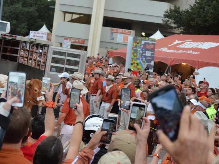 Bevo was unloaded and the fans went nuts.