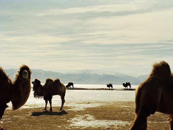  The concept of land is different from Western cultures. Because there is so much land and so few people outside of Ulaanbaatar, there is little worry about trespassing on someone else