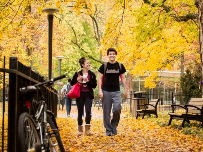 19. Vanderbilt University