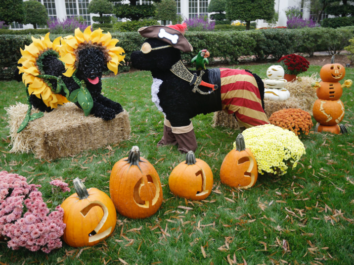 Halloween decorations designed to look like the “first dogs” added to the festivities. "Sunny" and "Bo," dressed as a sunflower and a pirate, posed at the White House.