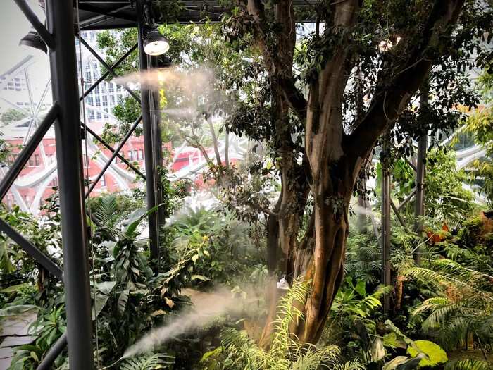 Every so often, the plants are watered with a gentle mist.