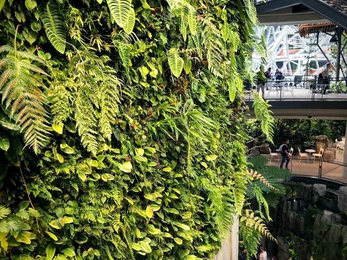 The 60-foot-tall living wall is a sight to behold. It contains more than 25,000 plants and covers 4,000 square feet. In total, there are 200 different species of plants growing out of this vertical garden.