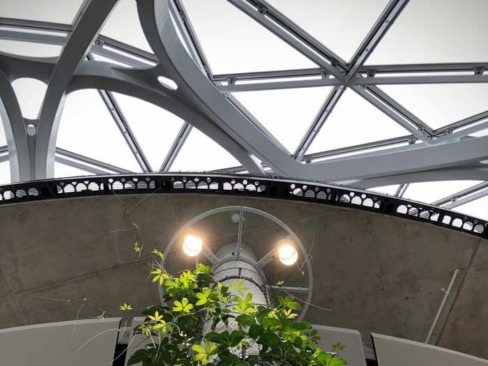 Amazon took every opportunity to incorporate plants into the Spheres — even the support beams have vines snaking their way to the ceiling.