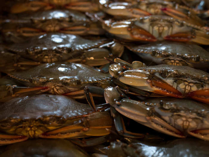 The blue crab, a delicacy from the Chesapeake Bay, has supported life on the island for centuries.