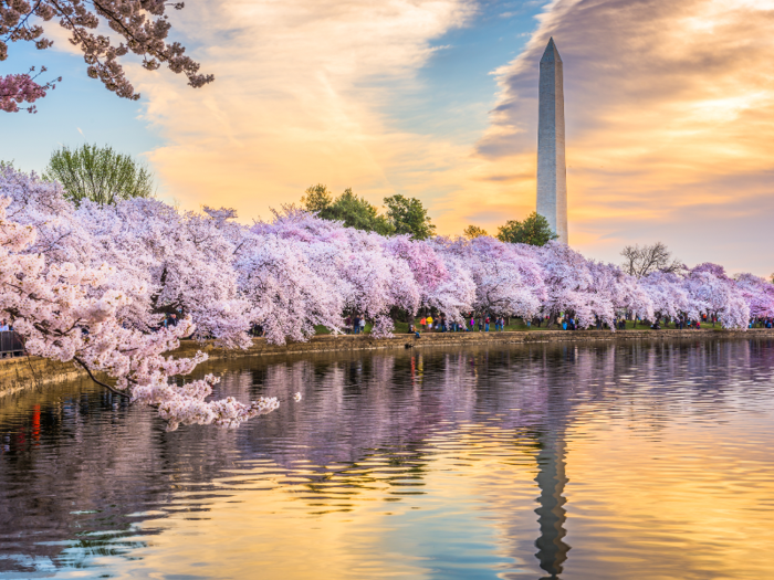 6. Washington, DC — 83,456 clean energy jobs.