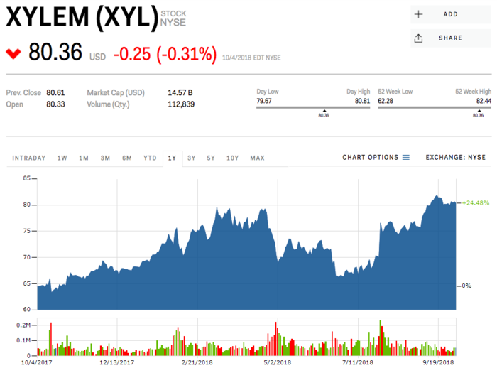 5. Xylem