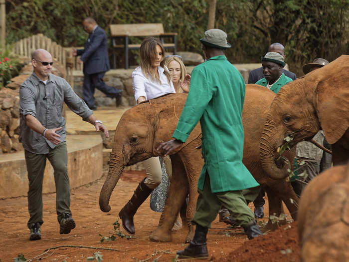 At one point, one of the calves started charging the first lady, which caused her to lose her balance.