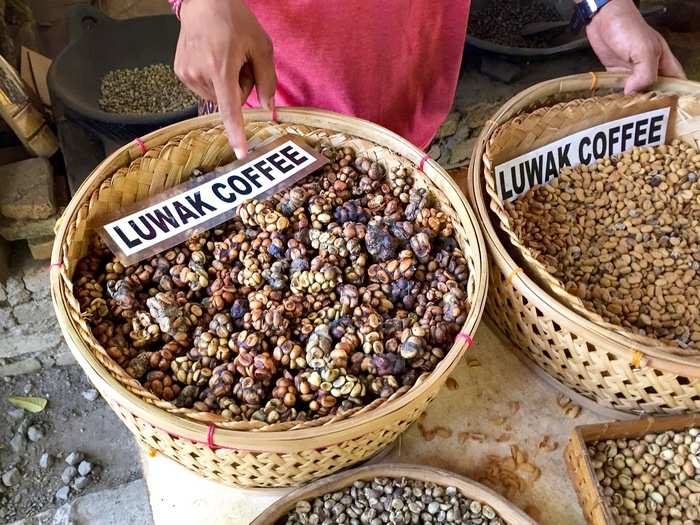 Before getting to Bali, I had been told by many that I had to try Kopi Luwak, a traditional Balinese coffee considered to be the most expensive coffee in the world.