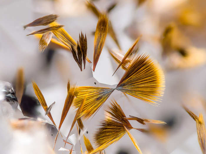 Iron oxide needles on quartz in Ontario, Canada.