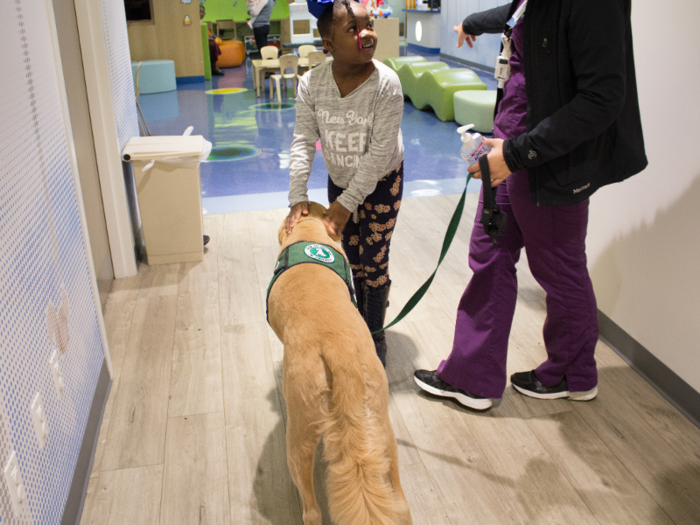 Zakyra Williams, 7, comes with her mom Andrea every week to do a white blood cell count check. Her whole face lit up as she saw Professor sauntering down the hall, and she immediately rushed to greet him.