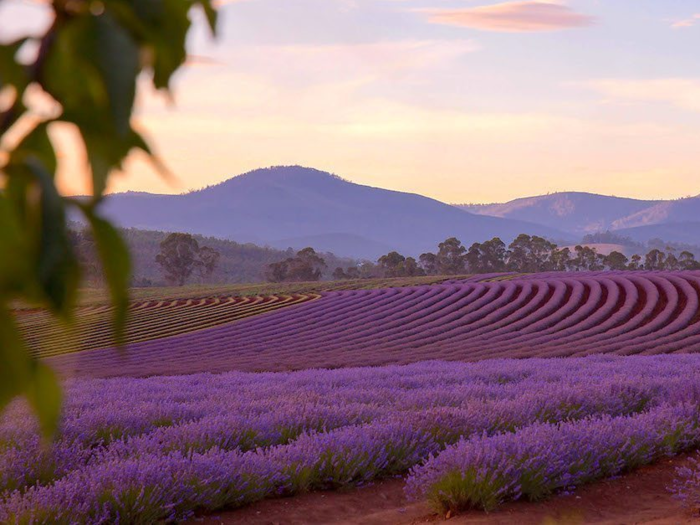 Tasmania, Australia