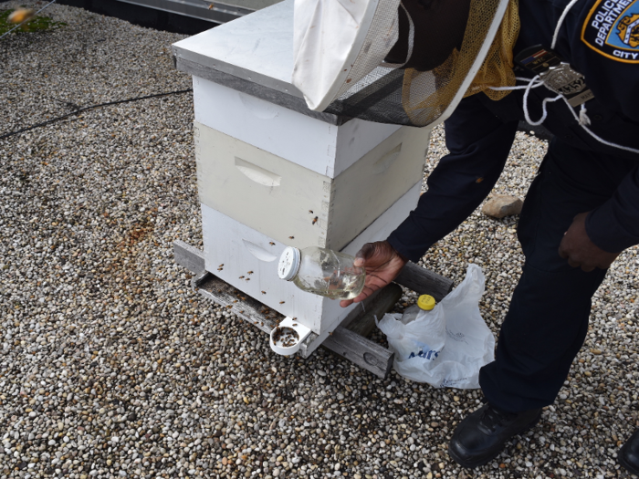 Then, about 10 years ago, when Mays was 38 years old, a friend showed him a hive. As an adult, Mays was transfixed by the bees