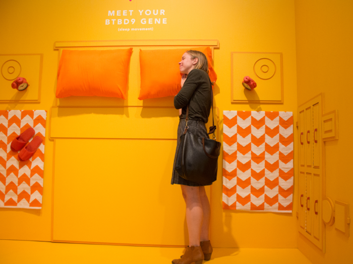 Each stall is fashioned after one specific gene that correlates to an array of traits. The first bright orange stall, detailing a bedroom, highlights the BTBD9 gene, which is associated with sleep-related movements.