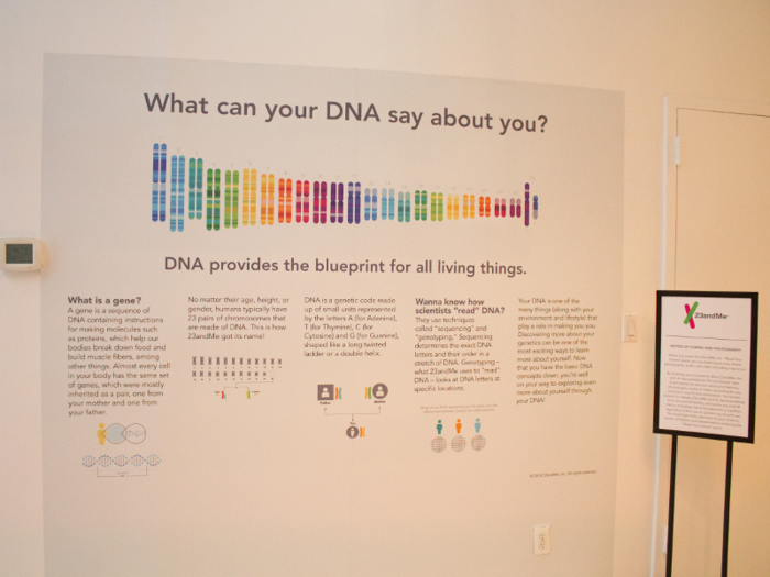 The first thing you see is a large poster that teaches you what DNA is and what it can tell you about yourself.