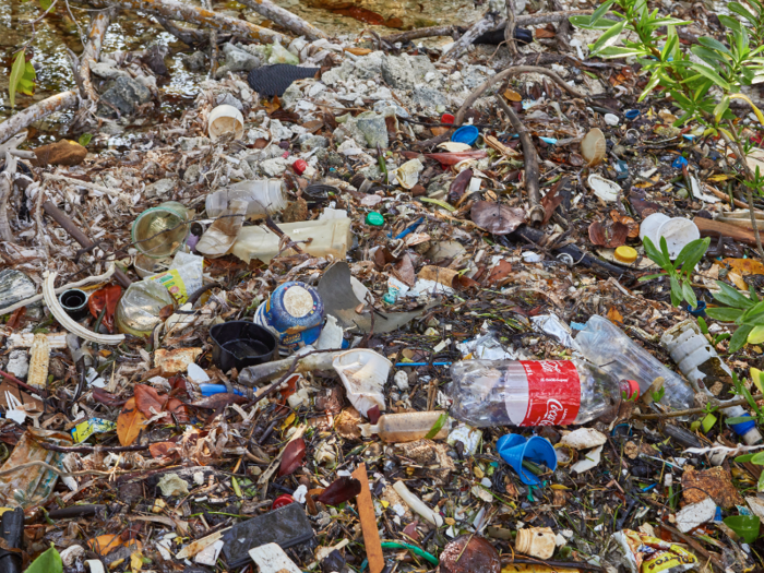 The SodaStream CEO said his device differs from the now-famous plastic-cleaning contraption made by The Ocean Cleanup.