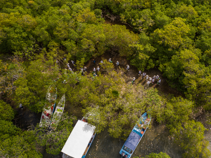 The Honduran island of Roatán, which boasts rainforests, mangroves, and beautiful beaches, has an area of just 32 square miles. The small island has a significant amount of trash floating in the waters and along the beaches.