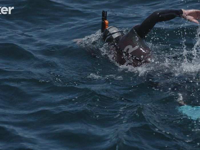 Swimming eight or nine hours per day makes Lecomte so hungry that he usually wakes up three or four times each night to nosh.