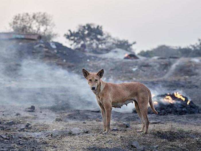 All over Jharia, there are fiery cracks and pits that spew clouds of toxic gases like sulfur dioxide, carbon monoxide, and mercury.