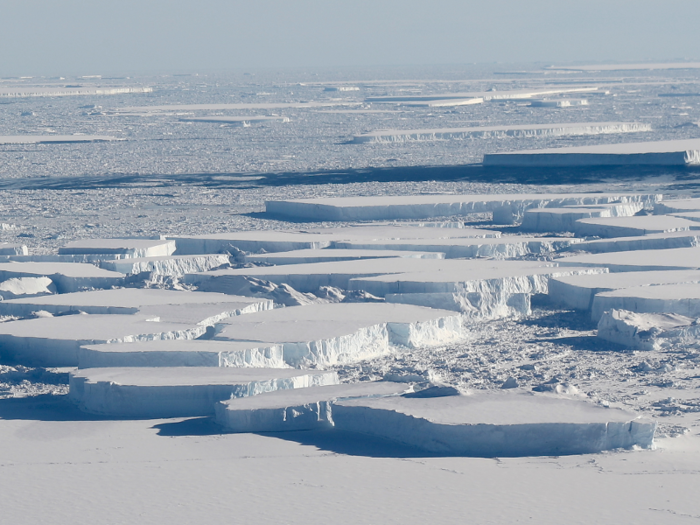 On October 16, NASA scientists found a number of large icebergs between Antarctica