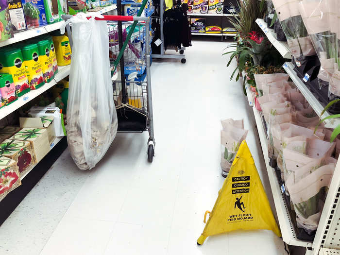 When we visited a New York City Kmart location after the bankruptcy filing, we found the store to be messy, with floors peeling up, dead plants on display, and boxes of merchandise everywhere.