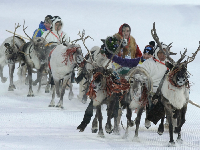 People use reindeer sleds in the Western Siberian region of Russia.