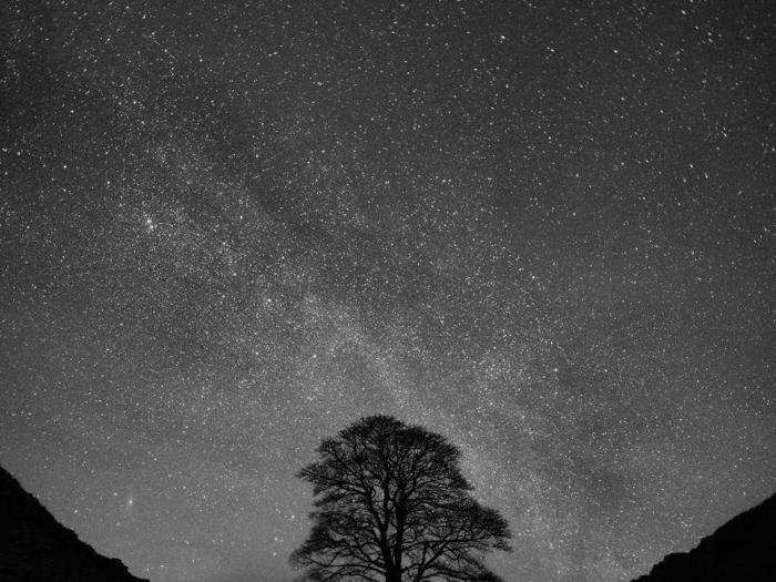 The winter sky shines brightly in this highly commended image. It shows the Milky Way galaxy crossing through the foreground of Sycamore Gap — part of a Roman-era structure called Hadrian