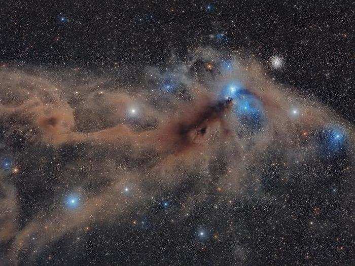 Dust and gas in this central nebula has a striking 3D appearance against a backdrop of stars.