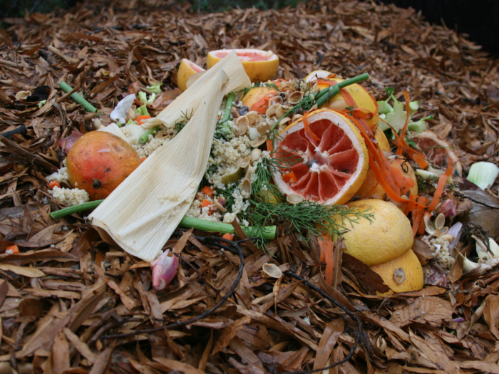 Set up a designated compost bin or pile.