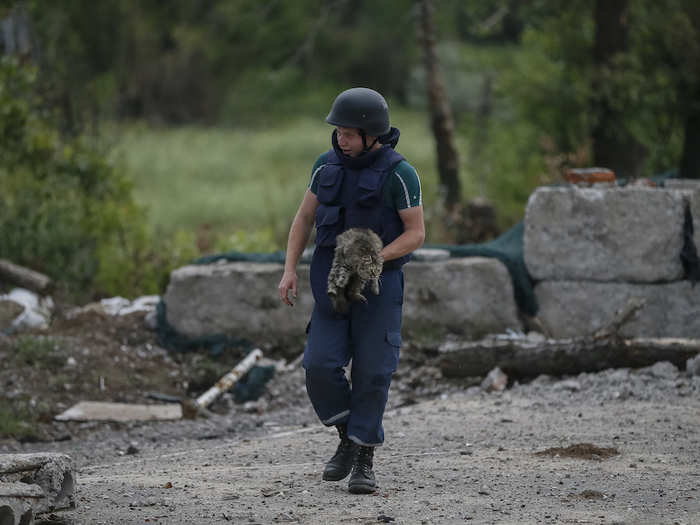 A sapper carries a cat to safety before detonating the remains of a mortar shell in Semenovka, Ukraine, in 2014.