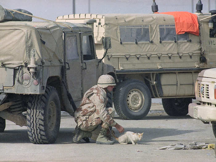 A US Marine comforts a stray cat during the battle in Khafji, Saudi Arabia in 1991 during the first ground battle of the Gulf war.