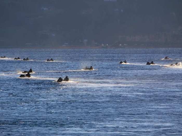 Roughly a dozen amphibious assault vehicles drive toward the shore.