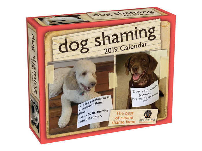 A calendar of dog shaming photos