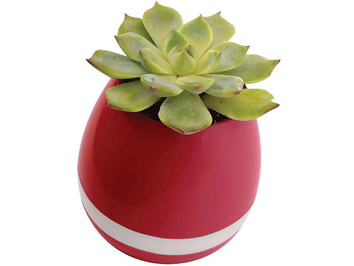 A faux succulent Bluetooth speaker