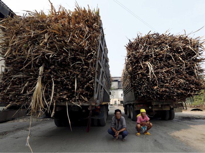 ... sugar cane in Thailand ...