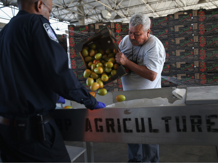 More than 845,000 trucks enter the Otay Mesa port every year. Their goods are examined by US Customs and Border Protection. This truck driver is getting ready to have his tomatoes inspected before bringing them into the US.