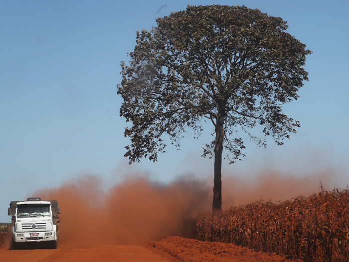 On the other side of the globe, truck drivers in Brazil drive through deforested sections of the Amazon ...