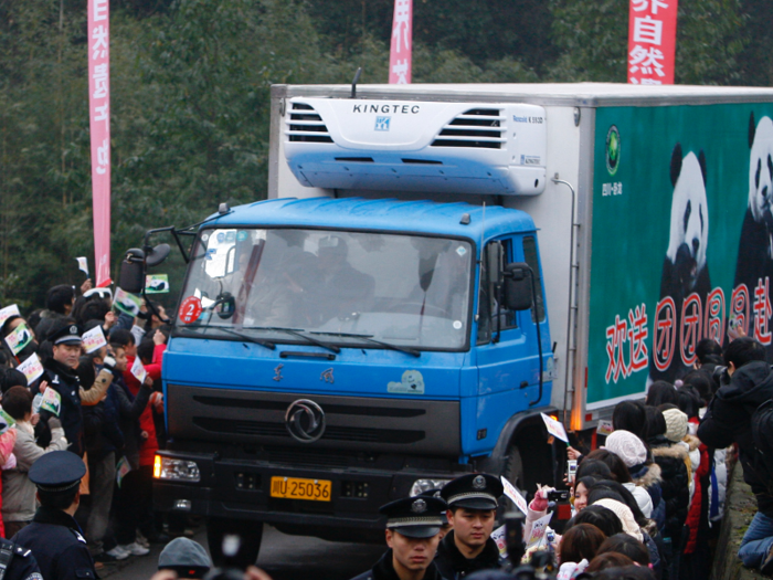 ... and sometimes, even pandas. This truck is carrying pandas to an airport in central China to fly out to Taiwan.