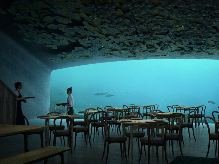 The lowest level is the dining room, which will have two long tables and several smaller tables. Guests will be able to watch sea life go by through the 36 x 13-foot panoramic acrylic window while they eat. Muted lights installed in the seabed will illuminate the water.