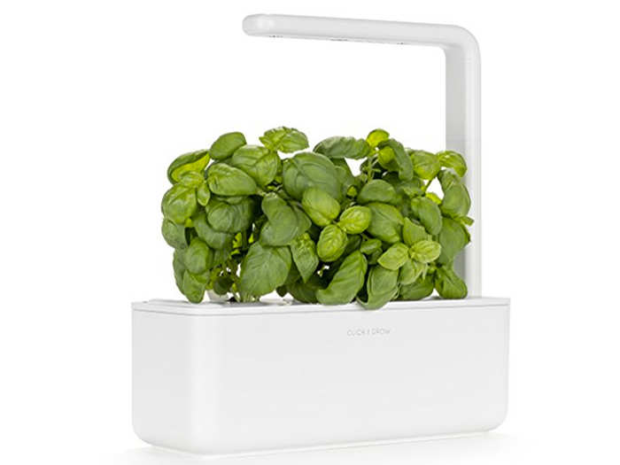 A smart garden that grows plants and herbs indoors